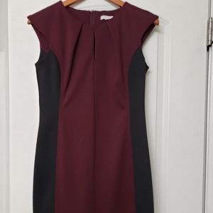 Like New 💖 Professional Work Wear New York and Company Shift Dress Size Small
